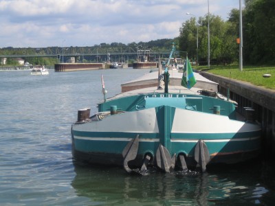 orphie-vives eaux.JPG