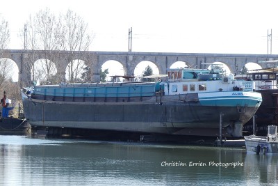 Albatros Veneux - Copie.JPG (192.01 Kio) Vu 1571 fois Albatros Veneux - Copie.JPG