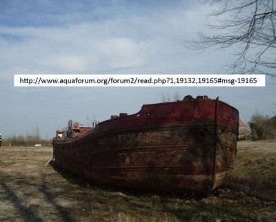 LAURAGAIS ex COMPOLIZE Vagus 02.jpg