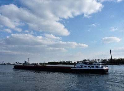 Sulomaro-2-11-04-2019-Oosterhout (2).JPG (143.73 Kio) Vu 3349 fois Sulomaro-2-11-04-2019-Oosterhout (2).JPG