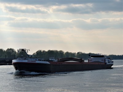 Sulomaro-1-11-04-2019-Oosterhout (2).JPG (154.87 Kio) Vu 3349 fois Sulomaro-1-11-04-2019-Oosterhout (2).JPG