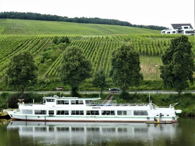 Bernkastel-1-02-07-2016-b (2).JPG