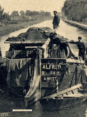 ALFRED Vagus 02.jpg