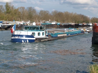 P1017781 (Copier).JPG (924.99 Kio) Vu 1955 fois P1017781 (Copier).JPG