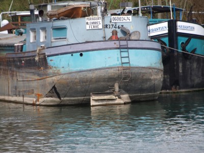 P1017829 (Copier).JPG (827.42 Kio) Vu 1207 fois P1017829 (Copier).JPG