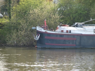 P4107949 (Copier).JPG (1.03 Mio) Vu 1605 fois P4107949 (Copier).JPG