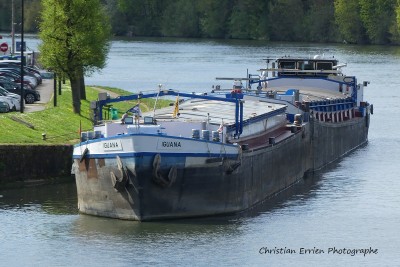 Iguana Bahamas Montereau.JPG (214.35 Kio) Vu 2117 fois Iguana Bahamas Montereau.JPG