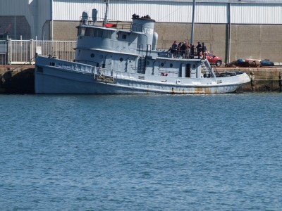 P4097899 (Copier).JPG (1.01 Mio) Vu 1180 fois P4097899 (Copier).JPG