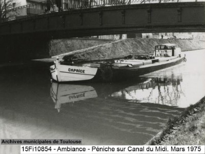 CAPRICE Vagus 03.jpg