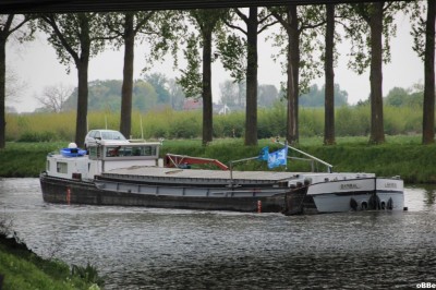 IMG_4447_1.JPG (164.67 Kio) Vu 2991 fois IMG_4447_1.JPG