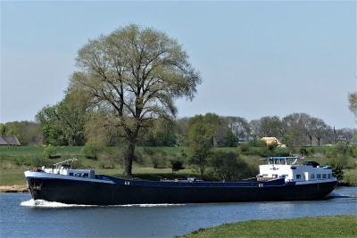 Pieternella-1-20-04-2022-Niftrik (2).JPG