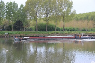IMG_4464_1.JPG