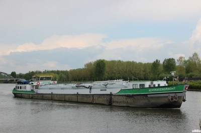IMG_4485_1.JPG