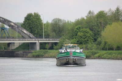 IMG_4482_1.JPG