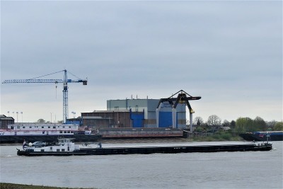 Misando-2-15-04-2022-Millingen-aan-de-Rijn (2).JPG