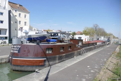 VOGEL GRYFF Mulhouse avril 2022.jpg (183.4 Kio) Vu 2691 fois VOGEL GRYFF Mulhouse avril 2022.jpg