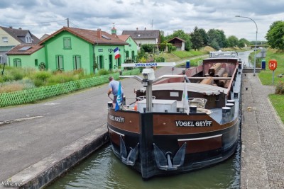 VOGEL GRYFF Herbitzheim juillet 2022.jpg (242.16 Kio) Vu 2691 fois VOGEL GRYFF Herbitzheim juillet 2022.jpg