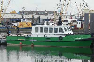 Westergat-1-27-06-2022-Lauwersoog.JPG (223.24 Kio) Vu 904 fois Westergat-1-27-06-2022-Lauwersoog.JPG