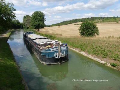 Cerridwen moulin St Vinnemer1.JPG