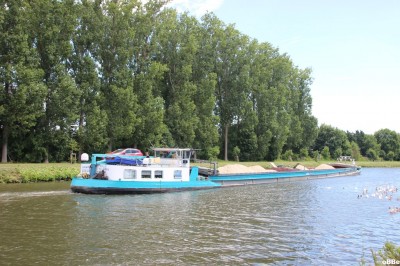 IMG_4971_1.JPG