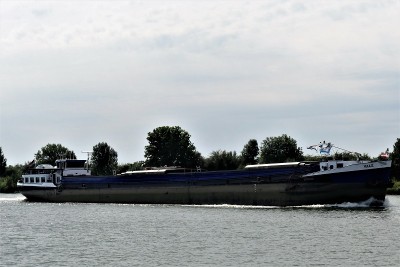 Vale-2-04-08-2022-Sambeek (2).JPG (170.64 Kio) Vu 1000 fois Vale-2-04-08-2022-Sambeek (2).JPG