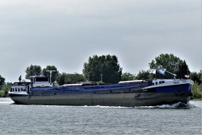 Vale-1-04-08-2022-Sambeek (2).JPG (198.95 Kio) Vu 1000 fois Vale-1-04-08-2022-Sambeek (2).JPG