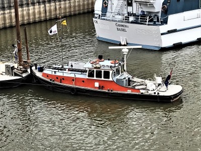 Valk-9-2-10-07-2022-Nijmegen (2).jpg (317.23 Kio) Vu 1359 fois Valk-9-2-10-07-2022-Nijmegen (2).jpg