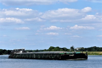Tonga-1-0808-2022-Blitterswijck (2).JPG