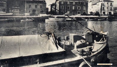 FLEURETTE Vagus 11.jpg (143.84 Kio) Vu 9818 fois FLEURETTE Vagus 11.jpg