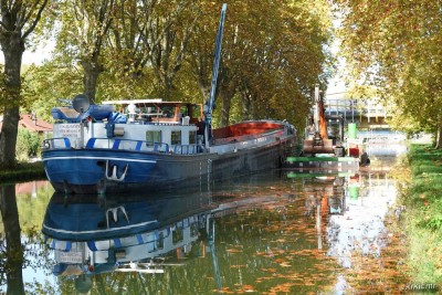 VOGEL GRYFF Illkirch 2022-10-25 (ar).jpg (316.49 Kio) Vu 2949 fois VOGEL GRYFF Illkirch 2022-10-25 (ar).jpg