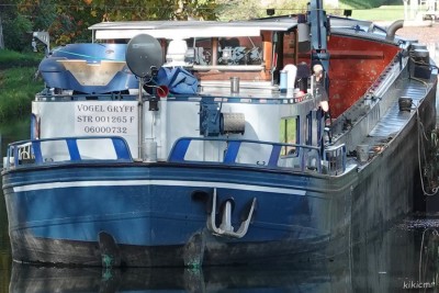 VOGEL GRYFF Illkirch 2022-10-25 (matricule).jpg (209.98 Kio) Vu 3152 fois VOGEL GRYFF Illkirch 2022-10-25 (matricule).jpg