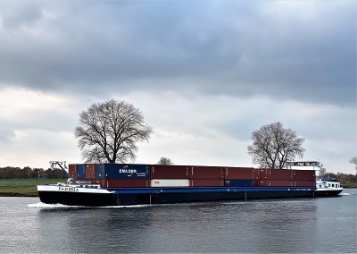 Faresia-4-30-11-2022-Niftrik (2).jpg (136.52 Kio) Vu 1444 fois Faresia-4-30-11-2022-Niftrik (2).jpg