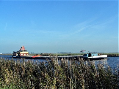 amore-1-11-10-2008 (2).jpg (232.34 Kio) Vu 726 fois amore-1-11-10-2008 (2).jpg