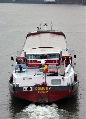 comus-5-17-10-2011-sluis-weurt (2).JPG (155.03 Kio) Vu 991 fois comus-5-17-10-2011-sluis-weurt (2).JPG