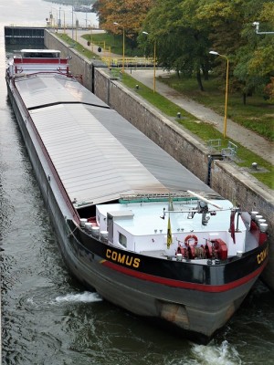 comus-1-17-10-2011-sluis-weurt (2).JPG (205.75 Kio) Vu 930 fois comus-1-17-10-2011-sluis-weurt (2).JPG