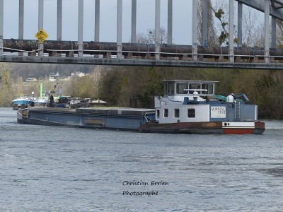 Morning Star Champagne1.JPG (253.71 Kio) Vu 1218 fois Morning Star Champagne1.JPG