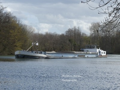 Morning Star Champagne2.JPG (246.25 Kio) Vu 1215 fois Morning Star Champagne2.JPG