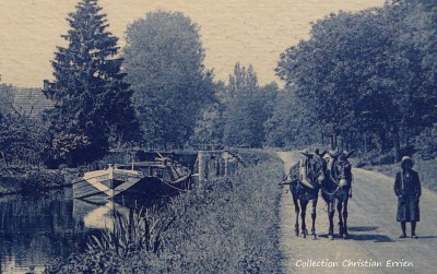 P1040469 (2).JPG (269.11 Kio) Vu 668 fois P1040469 (2).JPG