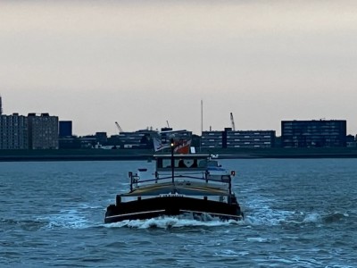 thumbnail_IMG_226211.jpg