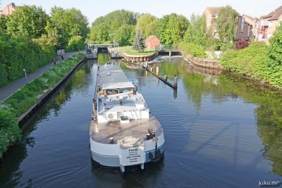 TYCHE - Marquette - mai 2023 (1).jpg (228.29 Kio) Vu 3137 fois TYCHE - Marquette - mai 2023 (1).jpg