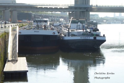 Bruay Odysseus II Rouen 3 - Copie.JPG
