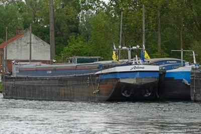 ARTEMIS - Arleux - 2023-05-17 (dét).jpg (320.28 Kio) Vu 1890 fois ARTEMIS - Arleux - 2023-05-17 (dét).jpg