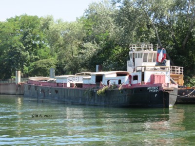 adonis-villeneuve garenne.JPG