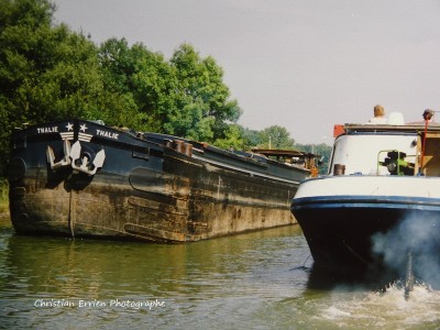 Thalie Episy.JPG (227.98 Kio) Vu 1495 fois Thalie Episy.JPG