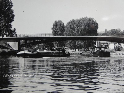 Aigrette Choisy au Bac.JPG (201.72 Kio) Vu 3883 fois Aigrette Choisy au Bac.JPG