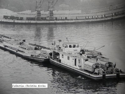 P1050639.JPG