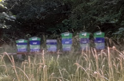 Vnf 2 (Copier).jpg (111.44 Kio) Vu 22052 fois Vnf 2 (Copier).jpg