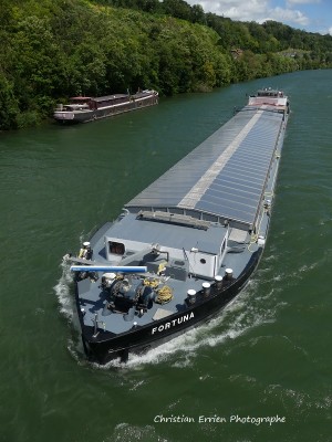 Fortuna.JPG (222.82 Kio) Vu 1907 fois Fortuna.JPG