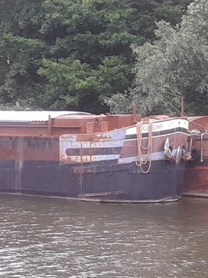 corona (Copier).jpg (86.65 Kio) Vu 5131 fois corona (Copier).jpg