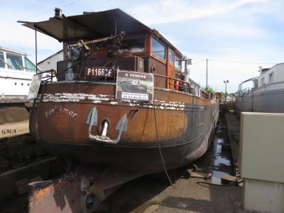 fin amor-st jean-29-04-2023.JPG (838.27 Kio) Vu 2013 fois fin amor-st jean-29-04-2023.JPG